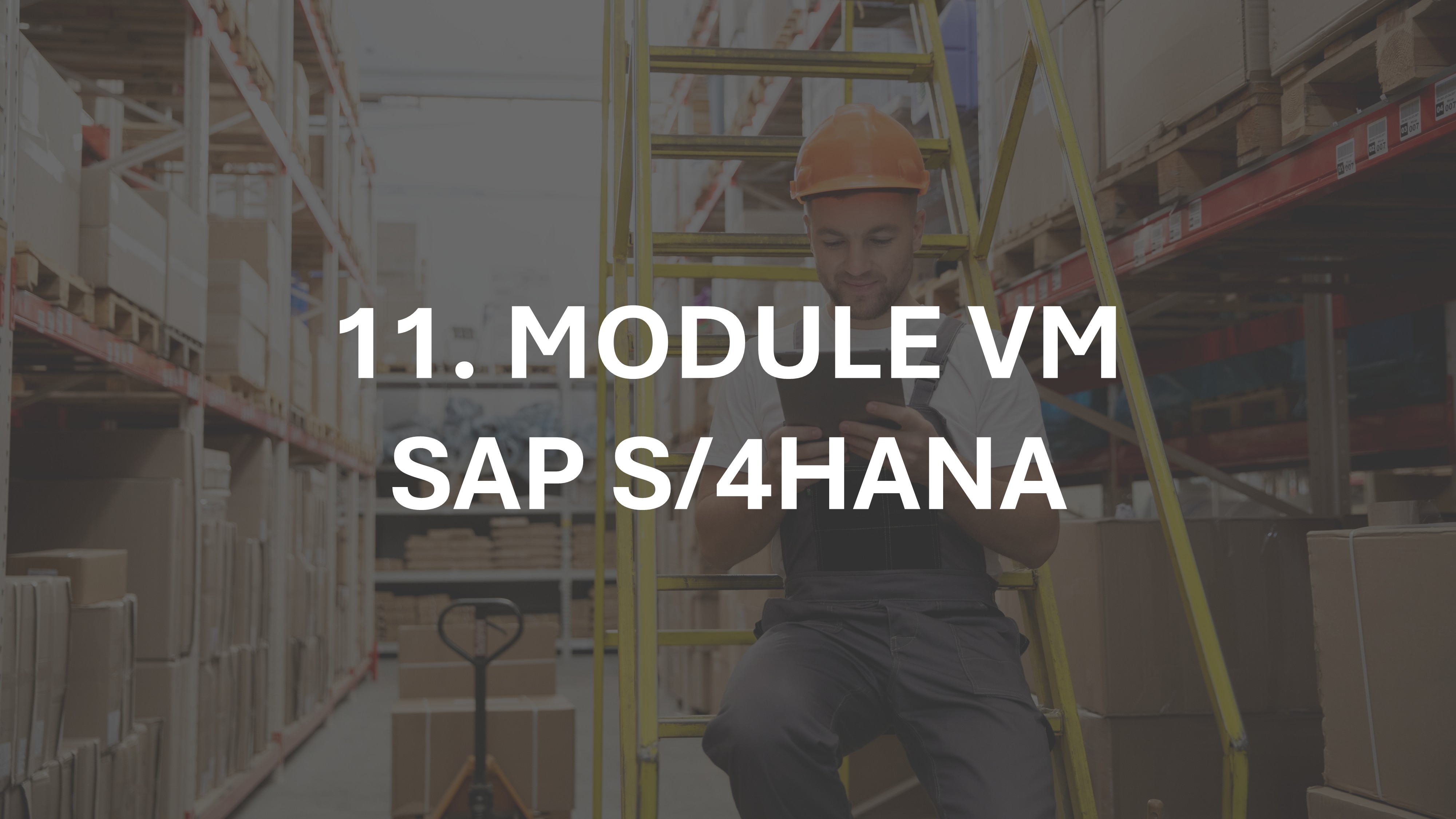 11. Modul Warehouse Management (WM) SAP S/4HANA