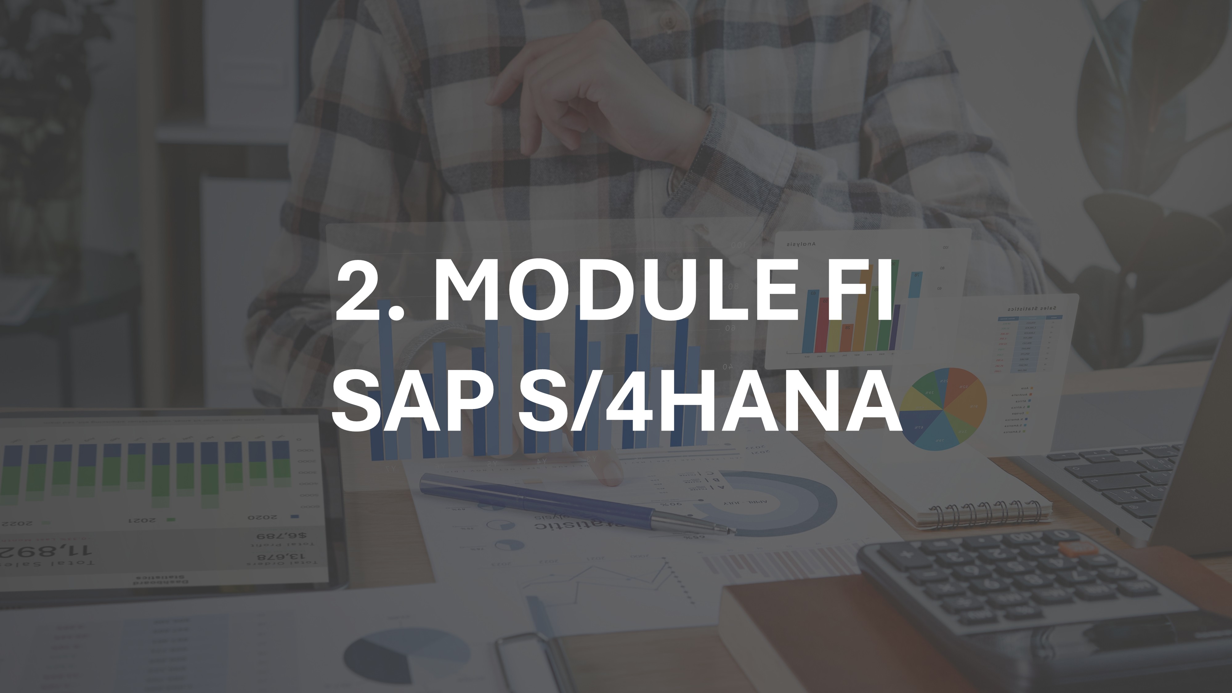 2. Modul Finance (FI) SAP S/4HANA